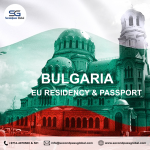 secondpassglobal banner