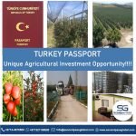 TURKEY PASSPORT